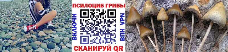 Галлюциногенные грибы прущие грибы  Вичуга 