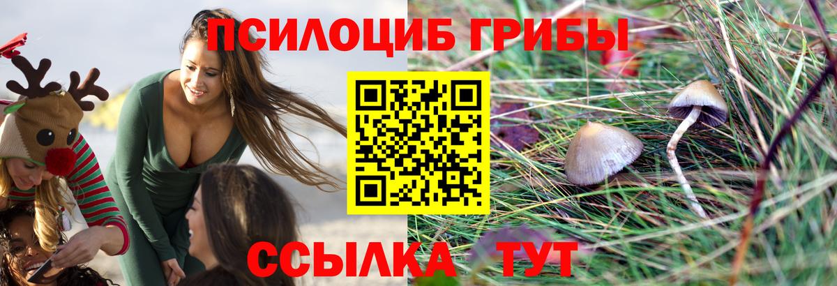 Вичуга  Псилоцибиновые грибы ЛСД  Вход с VPN 
